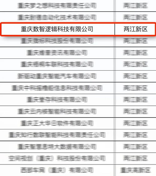 亞信科技旗下數(shù)智邏輯入選首批重慶市軟件和信息服務(wù)業(yè)‘滿天星’示范企業(yè)